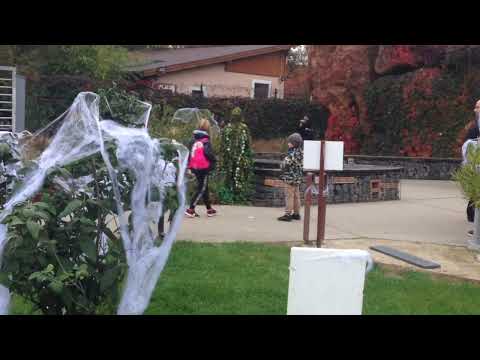 Gyermek műsor Halloweenre