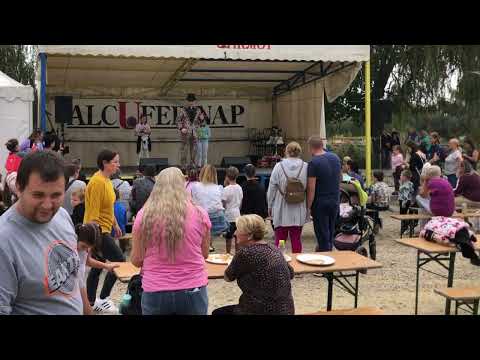 Zenés gyerekműsor fesztiválra céges rendezvényre műsor ötletek