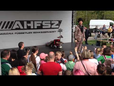 Gyermekműsor fellépők